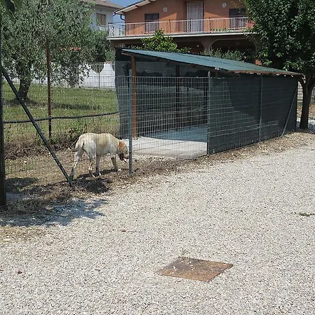 Villa Degli Ulivi Lempa Exterior photo