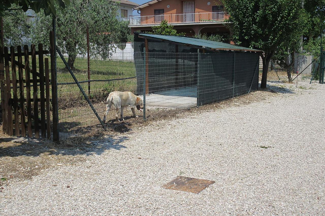 Holiday home Degli Ulivi